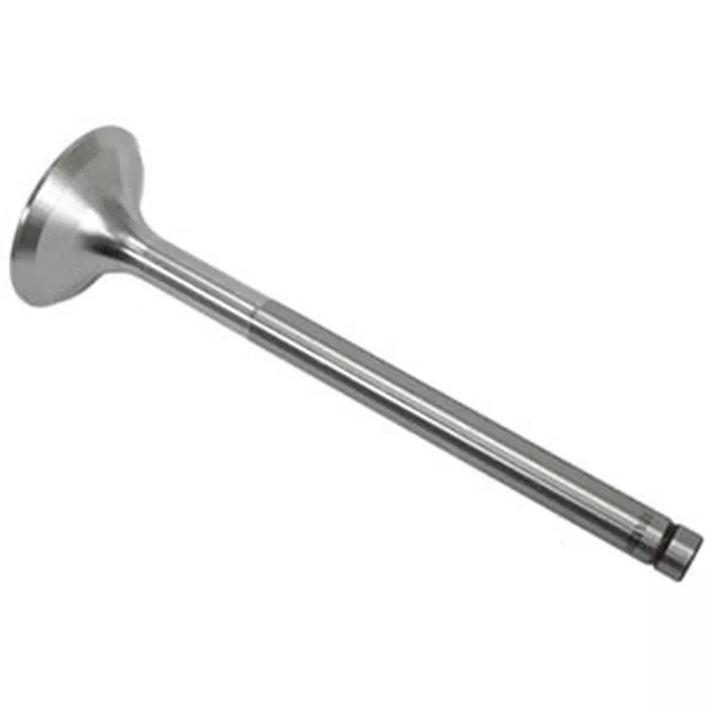 3055055R2 Intake Valve Fits Case IH 2400 275 3220 3230 380B 385 395 4210 4230