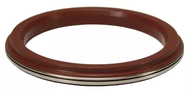 Dixon B45BY-SKV200 2" FKM SEAL KIT FOR YBALL CK VLV 1 kit = 1 gasket + 1 seat