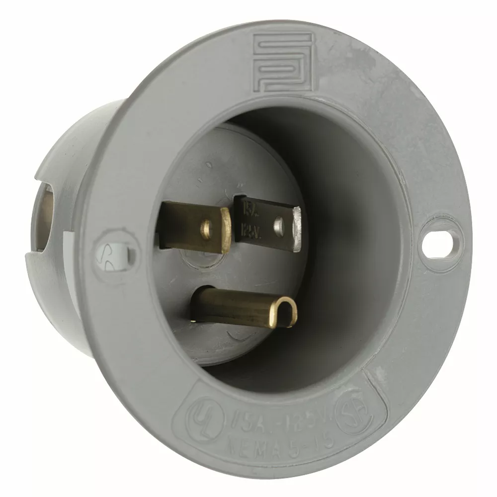 Pass & Seymour 5278-SS Straight Blade 2Pole 3Wire 15Amp 125Volt Flanged Inlet