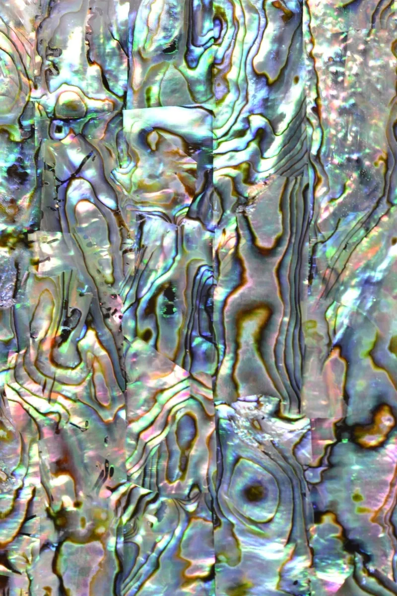 Paua Abalone Inlay Sheet, 2-3/4'' x 9-1/4'', Natural (Varied)