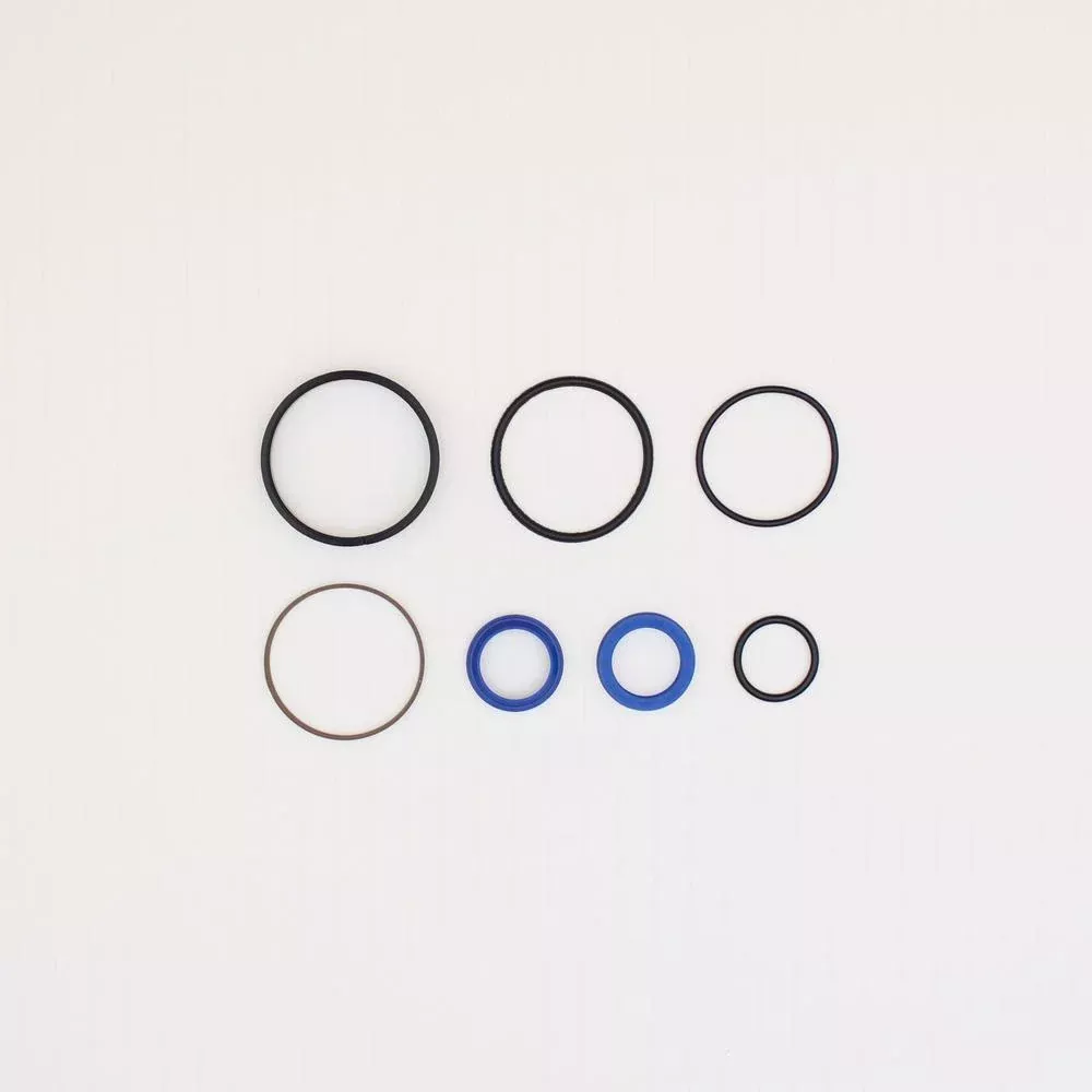 Steering Cylinder Seal Kit Fits Massey Ferguson Replaces 3484807M1